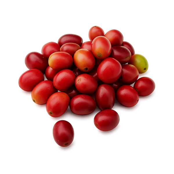 Coffee Fruit