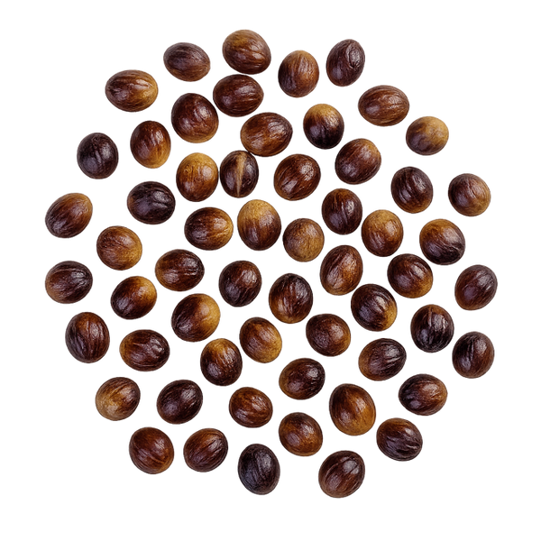 Nutmeg Seed